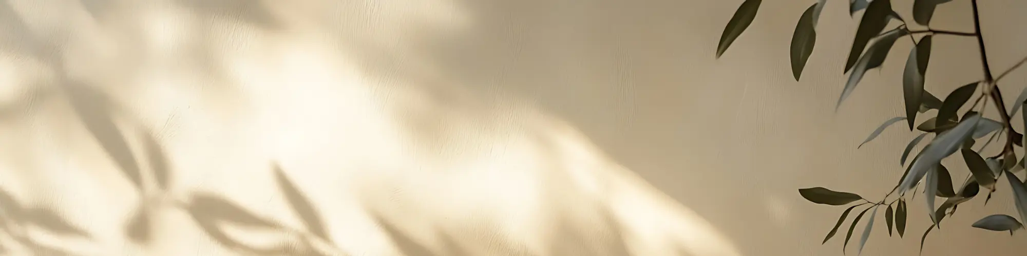 Abendlicht fällt durch ein Fenster mit Pflanzen im Vordergrund – warme, einladende Stimmung